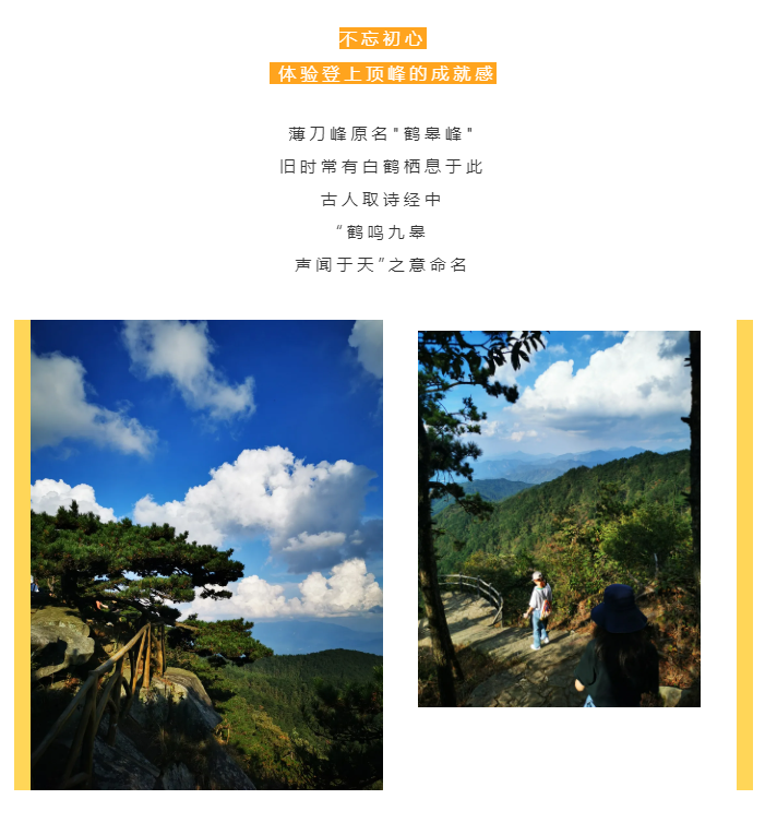秋天了，來一場成年人的秋游吧(圖2)